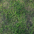 Turf Reinforcement Mesh