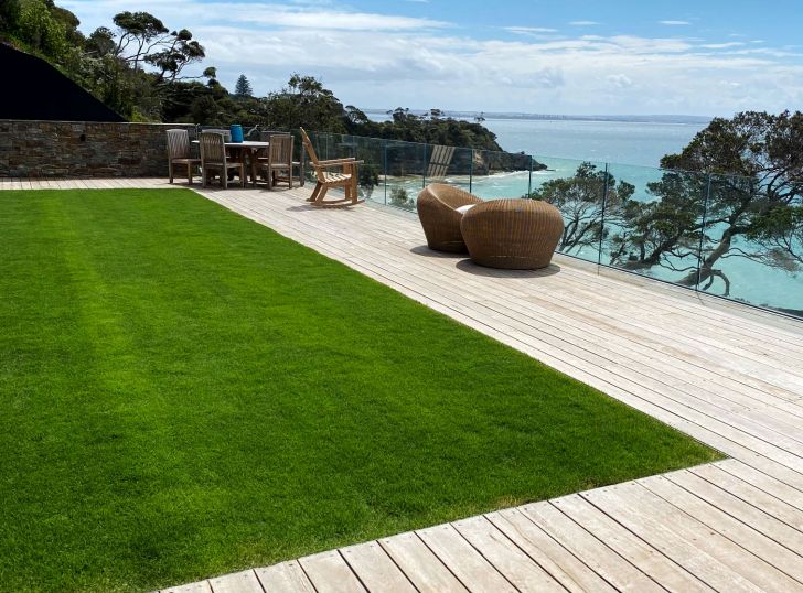 Sir Grange Zoysia lawn showing the leaf or landscaped finish.