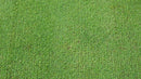 Thatch-Away Micro-Groomer
