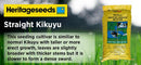 Pure Kikuyu - turfmate