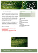 Soil Mate Boron+