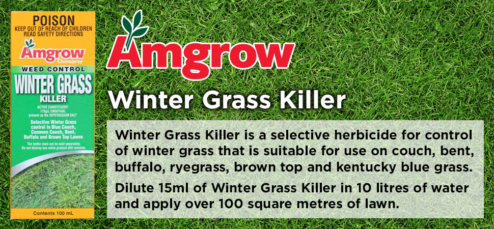 endothal herbicide 100ml Winter Grass Killer