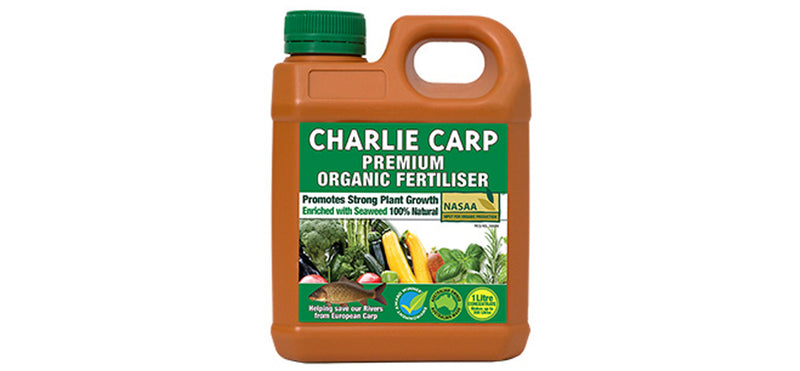 Organic Charlie Carp
