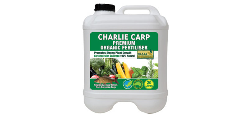 Organic Charlie Carp