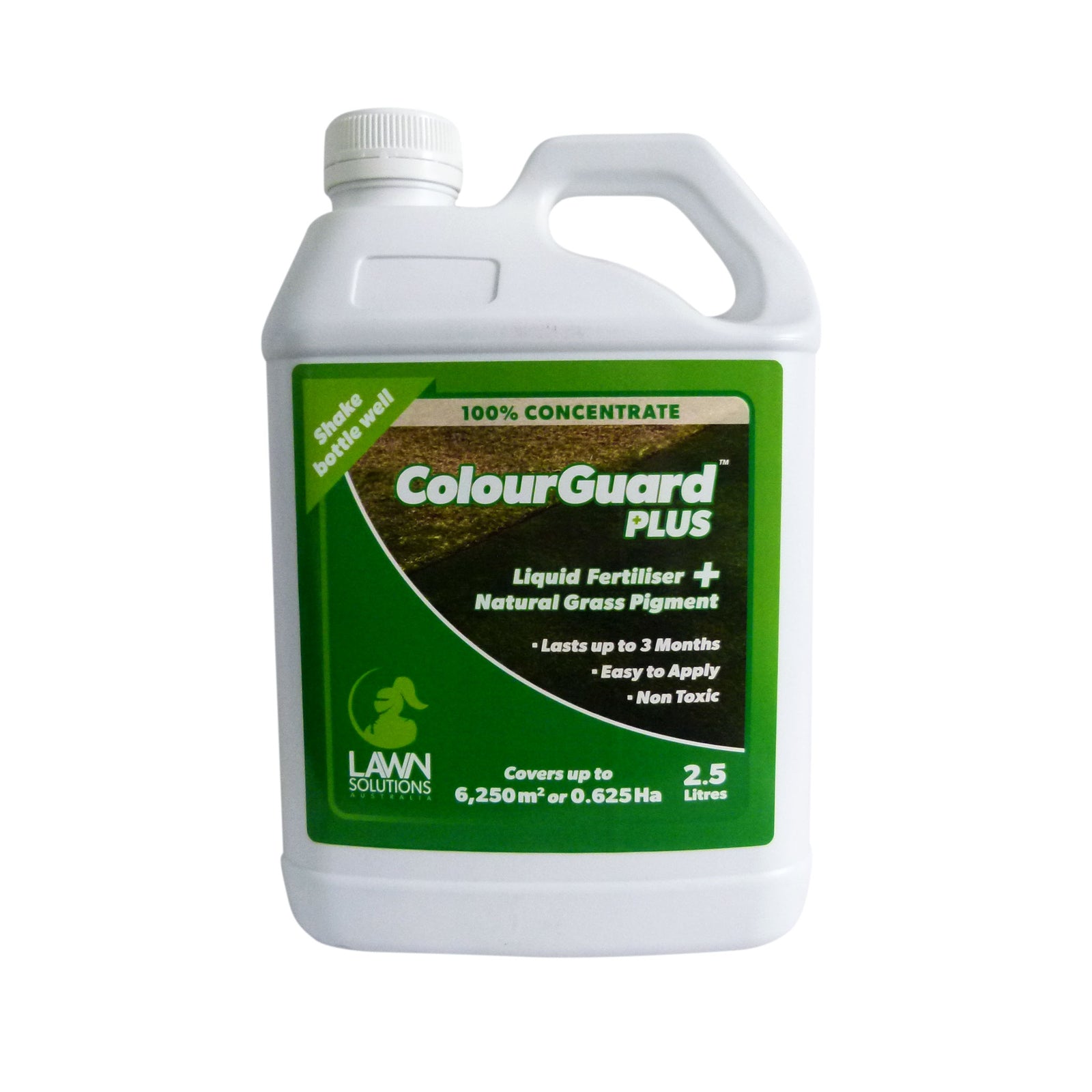 Colour Guard