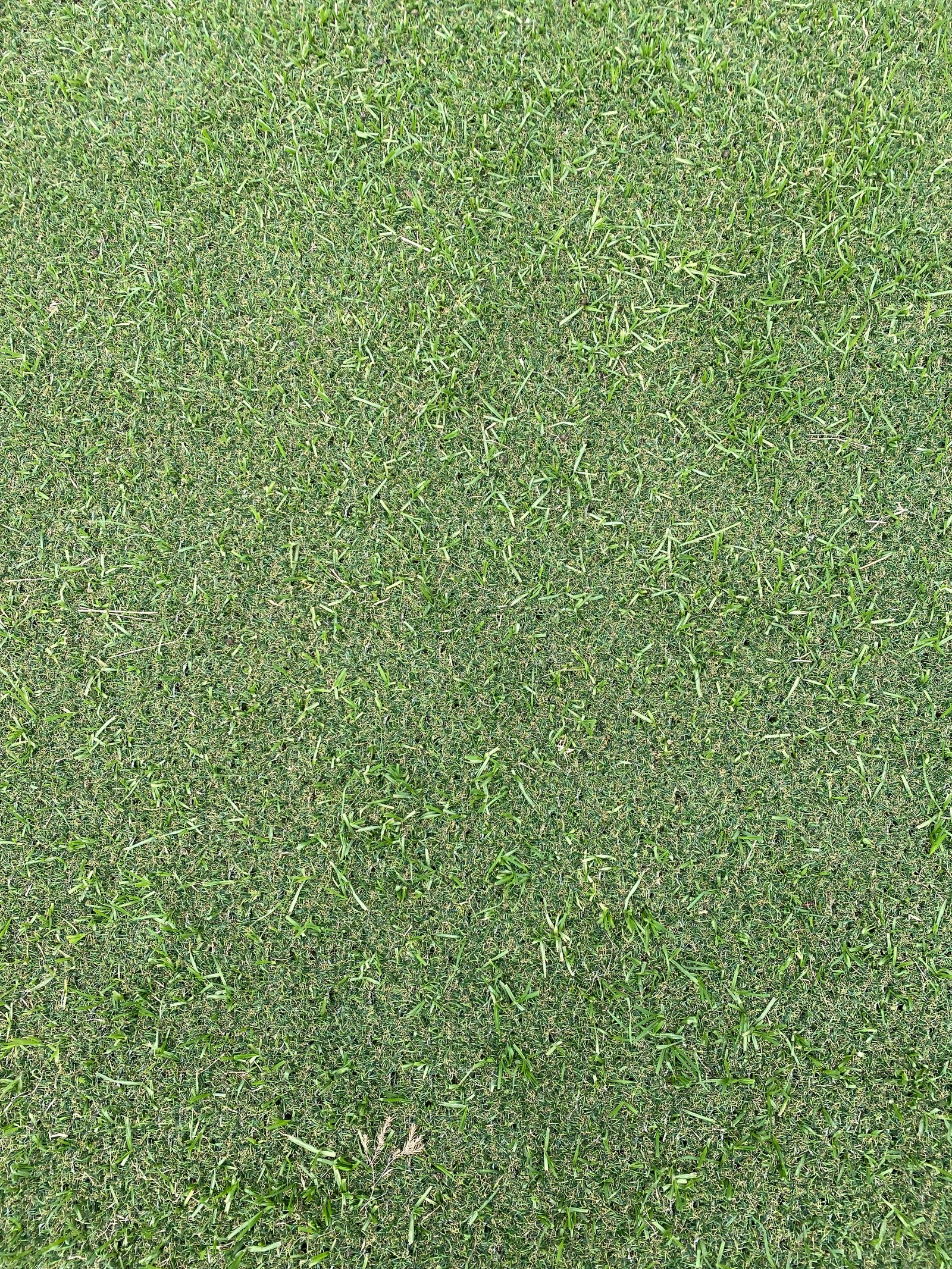 CoverMate Grass Protection