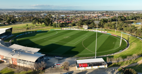 Turf Renovation