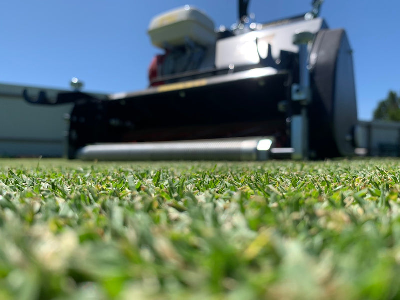 Close-up of turf at Turfmate