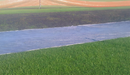 Evergreen growth-cover material laid over a cricket pitch, representative installation