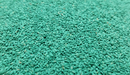 Close-up of coated Pure Couch lawn seed