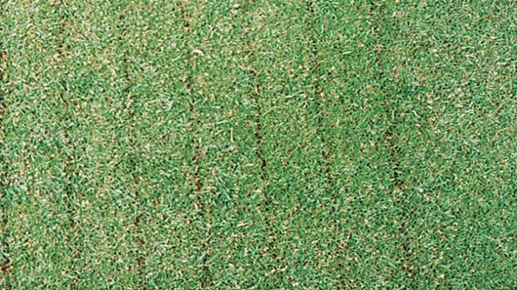 Thatch-Away Scarifier