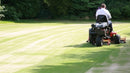 Thatch-Away Topdressing-Brush