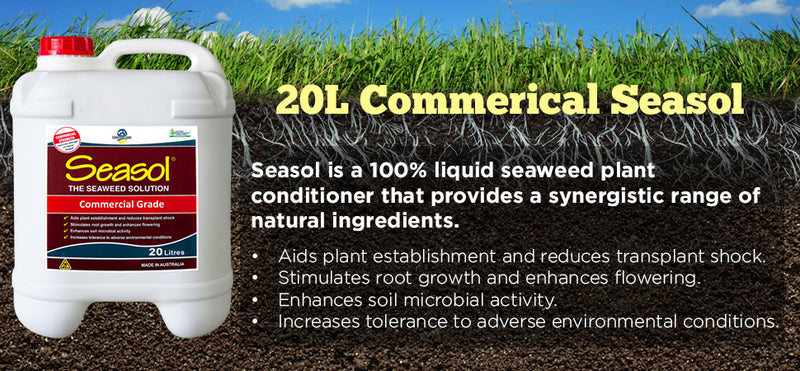 Seasol Commercial Liquid Seaweed - turfmate