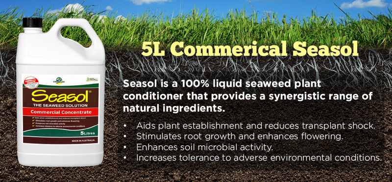 Seasol Commercial Liquid Seaweed - turfmate