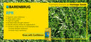 RPR Ryegrass - turfmate