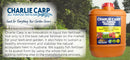 Charlie Carp liquid fish all-purpose fertiliser - turfmate