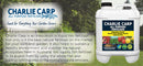 Charlie Carp liquid fish all-purpose fertiliser - turfmate