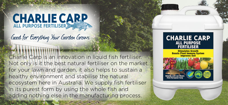 Charlie Carp liquid fish all-purpose fertiliser - turfmate