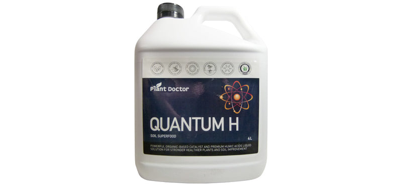Quantum H ®