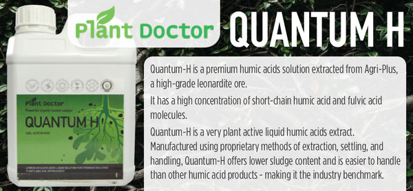 Quantum H ® - turfmate
