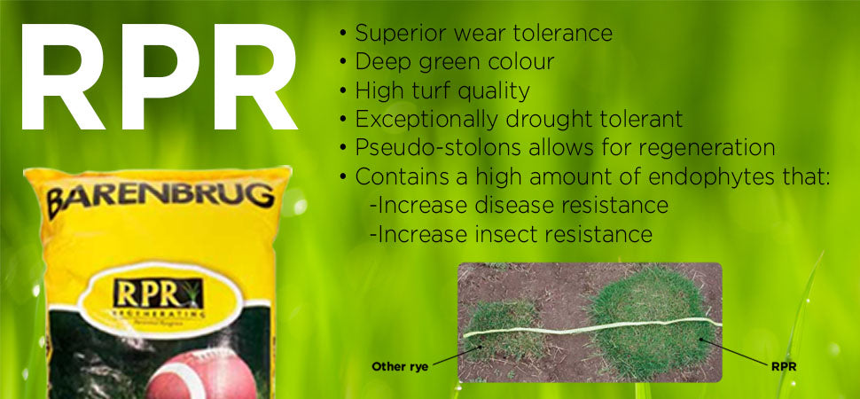 RPR Ryegrass
