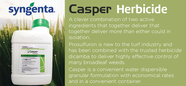 prosulfuron herbicide 1kg Syngenta Casper Herbicide