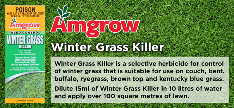 herbicide for winter grass 100ml Winter Grass Killer
